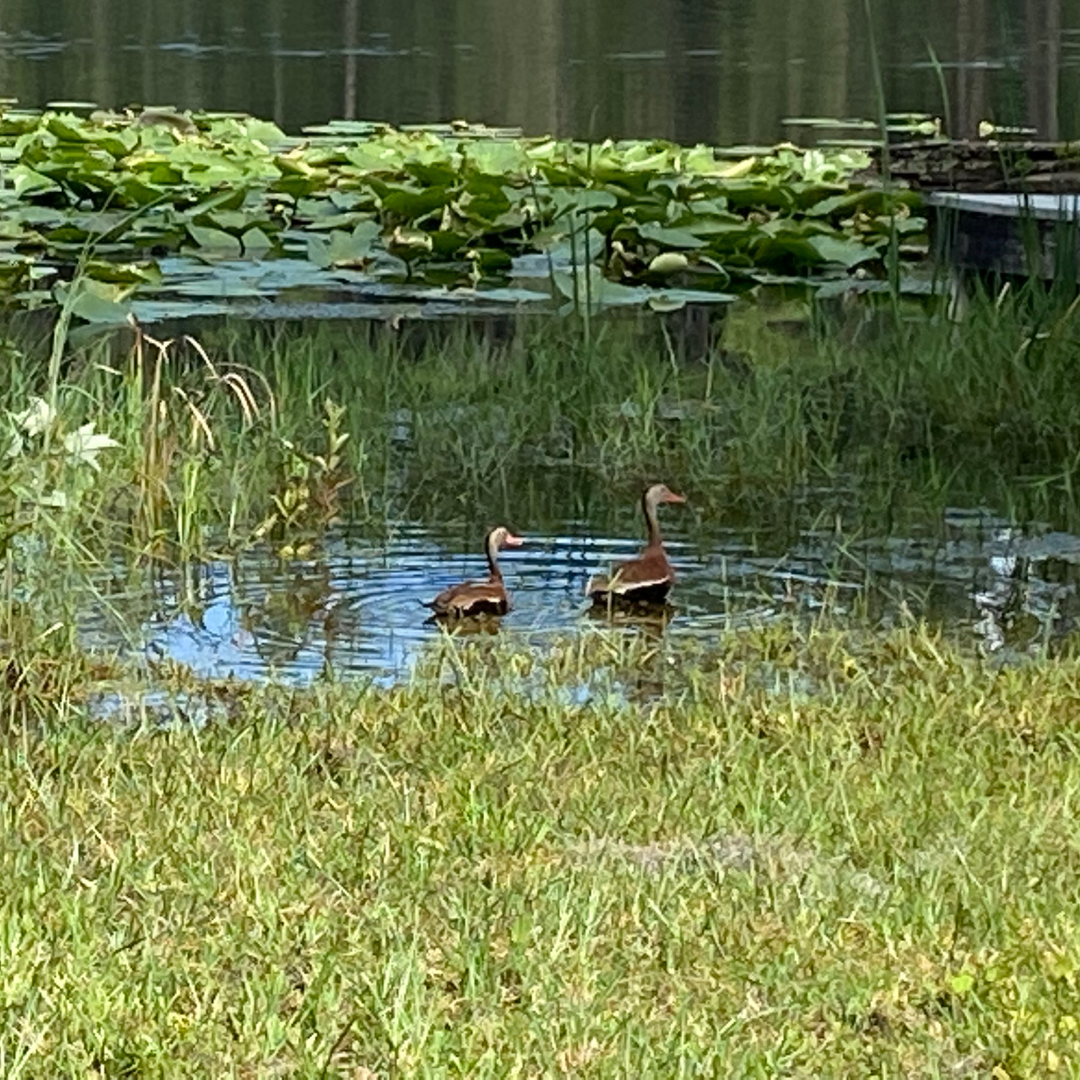 Studio visitors